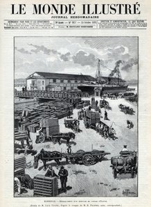 Maritime trade: arrival of quail from Egypt in the port of Marseille. Engraving in 