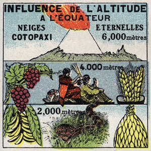 Meteorology: influence of altitude on climate. Anonymous illustration from 1925. Private collection. by Anonymous Anonymous