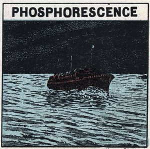 Phosphorescence: the wake of a boat leaves a light mark at night when it passes in the middle of a bank of phosphorescent animals called infusoria 