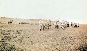 Photograph from a personal album of an infantry lieutenant during the first months of the First World War by Anonymous Anonymous