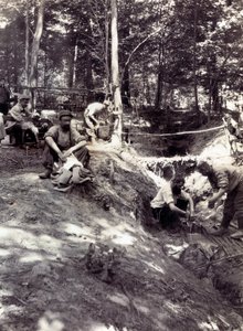 Photograph from a Personal Album of an Infantry Lieutenant During the First Months of the First World War by Anonymous Anonymous