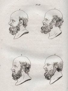 Physiognomy - Several heads of the Greek philosopher Socrates (ca. 469 BC-399 BC) - engraving of 1808 in 