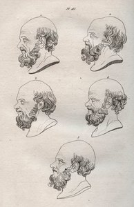 Physiognomy - Several Heads of the Greek Philosopher Socrates (ca. 469 BC-399 BC) - engraving of 1808 in 