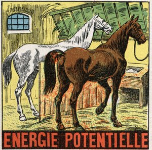Potential energy: horses resting in a stable. Anonymous illustration from 1925. Private collection. by Anonymous Anonymous