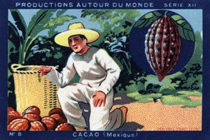 Productions Around the World: Cocoa in Mexico by Anonymous Anonymous