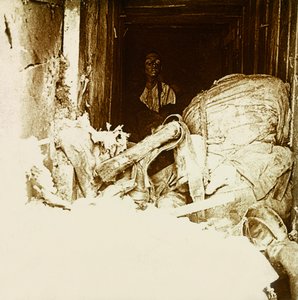 Stereoscopic Glass Plate on the First World War by Anonymous Anonymous