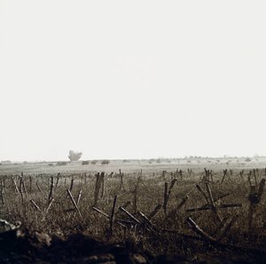 Stereoscopic Glass Plate on the First World War by Anonymous Anonymous