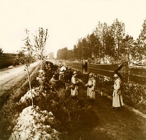 Stereoscopic Glass Plate on the First World War
