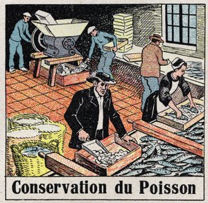 Cold Industry: Conservation of Fish in Ice