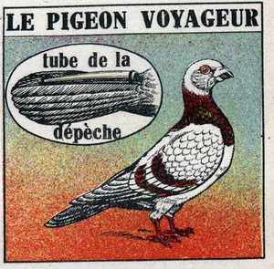 The Post Office: The Traveller Pigeon. Anonymous illustration from 1925. Private collection. by Anonymous Anonymous