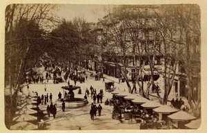 The City of Marseille and Its Surroundings Circa 1885-1890: The Flower Walk, Courses Saint Louis by Anonymous Anonymous