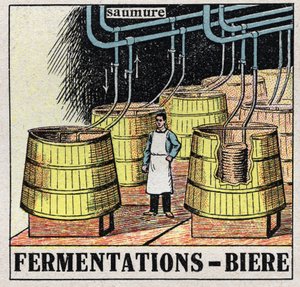 The cold industry: malt fermentations to produce beer. Anonymous illustration from 1925. Private collection. by Anonymous Anonymous