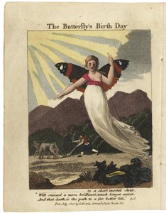 Title page from The Butterfly