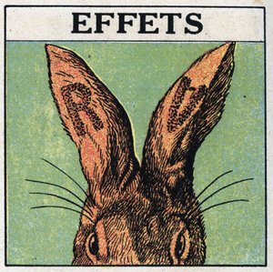 Ultraviolet rays: effects. We cover the ears of a rabbit with black cardboard or cut the letters R and V, then we expose the animal to the ultraviolet rays of a mercury lamp: the ears show traces of burning identical to those of a sunburn. Anonymous illust by Anonymous Anonymous