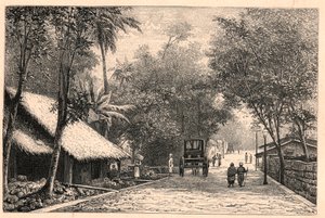 View of a street from Colombo in Ceylon (Sri Lanka). Engraving in 