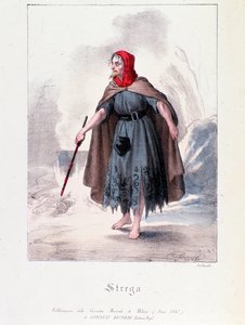 Witch Character in Macbeth by Anonymous Anonymous