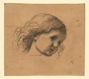 Curly Haired Child