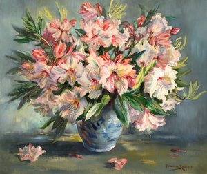 Rhododendrons