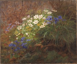 Anemones