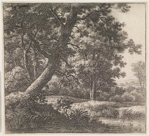Crooked Tree by Anthonie Waterloo