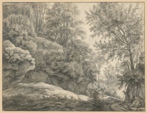 Forest Study by Anthonie Waterloo