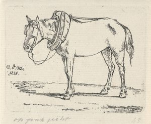 Harnessed Horse