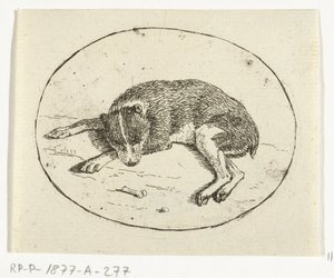 Lying Dog