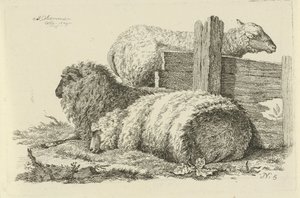 Lying Sheep and Ram Studies of Cows, Sheep, and Goats (series title)