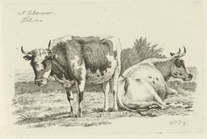 Standing and Lying Cow (Studies of Cows, Sheep, and Goats) by Anthony Oberman