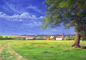 Home Field by Anthony Rule