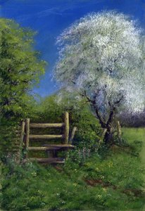 Springtime by the Stile, 2013