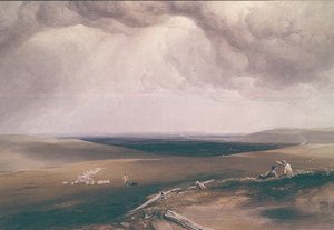 On the South Downs
