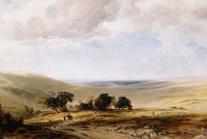 The South Downs