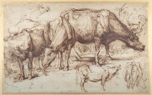Cattle in Pasture, c.1618-20 by Anthony van Dyck