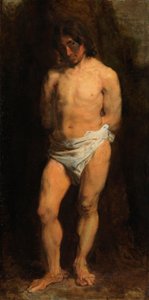 Study of a Naked Youth by Anthony van Dyck