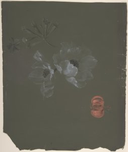 Floral Design by Antoine Berjon