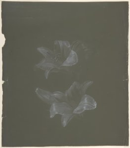 Floral Design by Antoine Berjon