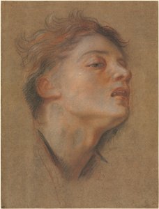 Head of a Young Man