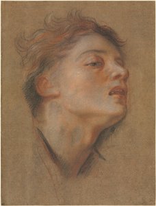 Head of a Young Man, 1715-1717