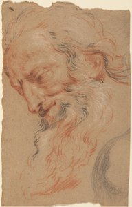 Head of an Old Man by Antoine Coypel