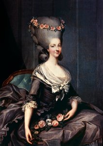 Marie-Therese of Savoy-Carignan, Princess of Lamballe