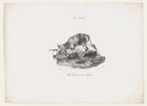 A Deer and a Lynx