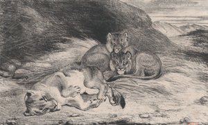 Lioness and Cubs, possibly 1832 by Antoine Louis Barye