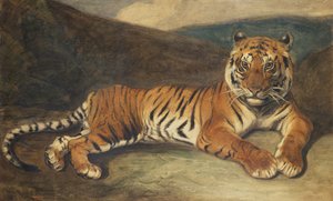Tiger Reclining