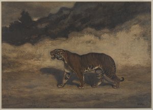 Tiger Walking to the Left