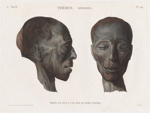 Description of Egypt: Thebes. Hypogees Vol. II, Pl. 49 by Antoine Maxime Monsaldy