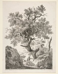 Untitled [Man Seated by Tree]