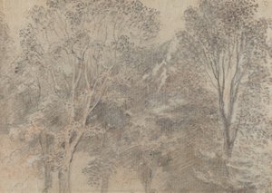 Treetops by Antoine Watteau