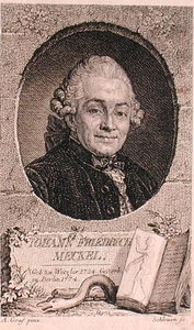 Portrait of Johann Friedrich Meckel (1724-76) Engraved by John Schleuen by Anton (after) Graff