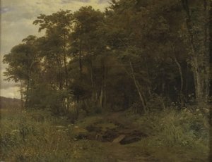 A Thicket